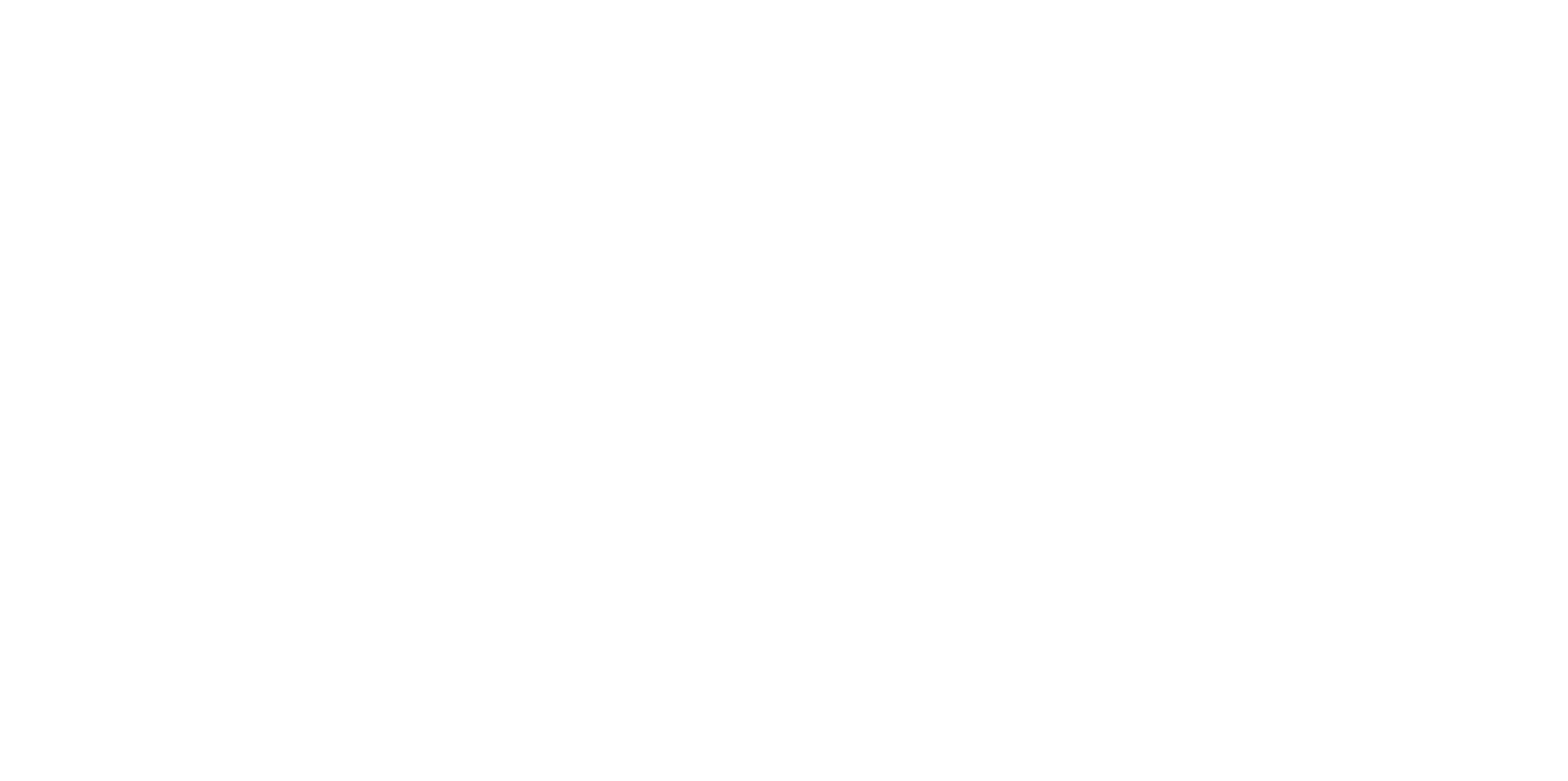 APG-Logo-White